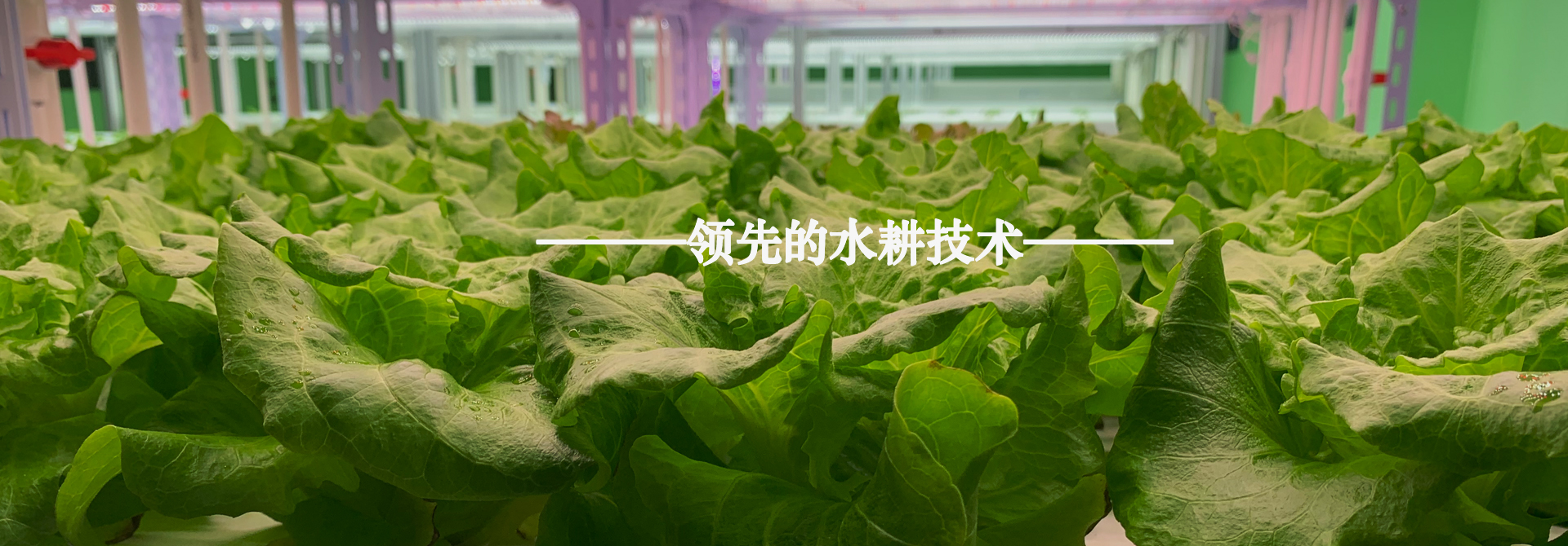 &#29699;&#36895;&#20307;&#32946;&#24179;&#21488;&#45;&#29699;&#36895;&#65288;&#20013;&#22269;&#65289;